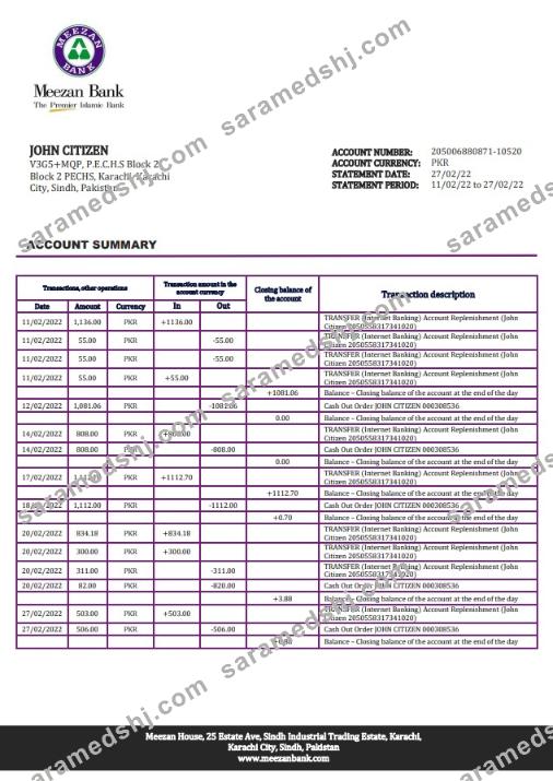 Pakistan Meezan bank statement